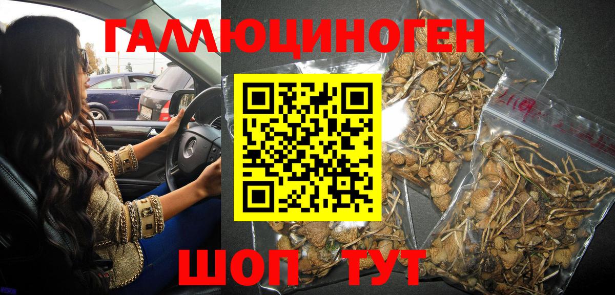 Галлюциногенные грибы Psilocybine cubensis  магазин  наркотиков  Касимов  Вход с VPN  Галлюциногенные грибы Magic Shrooms 