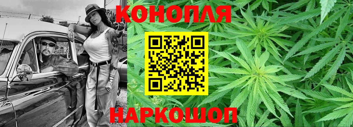 Конопля MAZAR Касимов